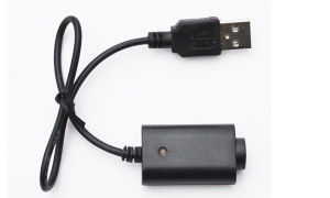eGo fast battery charger